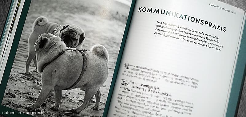 Kommunikation-mit-dem-Hund-Jochen-Bendel